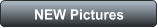 NEW Pictures
